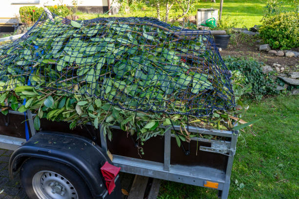  Pikeville, KY Junk Removal Services Pros